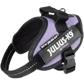 Julius-K9 Idc Power Mini Hundegeschirr