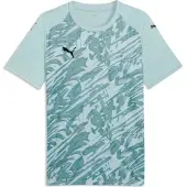 Puma Teamfinal Graphic Jersey modern mint-black-adriatic (41) XS
