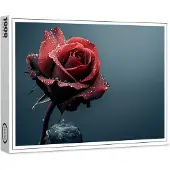 Raxxa Premium-Puzzle "Rose mit Wassertropfen auf den Blütenblättern", 1000 Teile