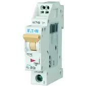 Eaton LEITUNGSSCHUTZSCH. M. STECKKL. (PLI-C13/1)