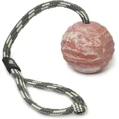 Julius-K9 Massiver Ball Mit Seil Sortiert