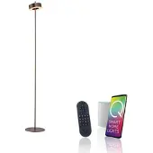 Q-SMART-HOME Paul Neuhaus Smart-LED-Stehlampe Q-Rotate dunkelbraun 140 cm
