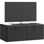 vidaXL Wandmontierter TV-Schrank 78,5 x 41 x 30 cm Schwarz