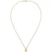 Elli Kette mit Anhänger "Halskette Plättchen Rund Gedrehte Kette 925 Silber" Gr. 45, gold, Halsketten, Damen, ohne Stein, Silber 925 (Sterlingsilber), Kette mit Anhänger