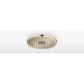 Dornbracht 28032970-26 RB SERIENSPEZIFISCH 28032970 300 mm