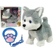 Leantoys Plüschhunde Interaktiver, pädagogischer Kinderreimspaziergang