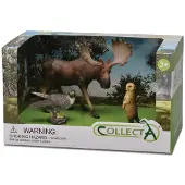 Collecta Wild Life Forest 3-teilige Figur In Geöffneter Box Mehrfarbig 3-6 Years Mehrfarbig 3-6 Years