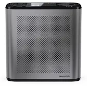 Sharp Osaka, Tragbar, Digital, DAB+, FM, 3 W, LCD, Grau