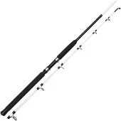 Kinetic Witcher Salt CC 180cm P10 30-50lbs 300-600g - Meeresrute