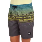 O'Neill Logo Stripe Badeshorts