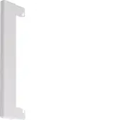 Hager Tehalit Flanschplatte Wandkanal - BR100WK9016