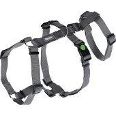 Kerbl Miami Hundegeschirr Grau 20 mm x 48-70 cm Grau 20 mm x 48-70 cm