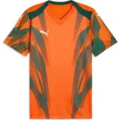Puma teamFINAL Graphic+ Jersey