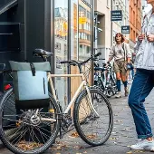 OEM Rennrad-Rucksack 17 Liter - Wasserfest - Grün