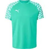 Puma Tshirts TeamLIGA26 65972105