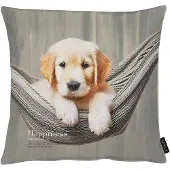 Apelt Dekokissen "Buddy", taube, beige, bedruckt, B:46cm H:0,5cm L:46cm, Baumwolle, Polyester, Dekokissen_Sitzkissen_Kissenhüllen, Dekokissen, Lieblings-Hundebaby