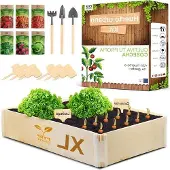 Markenlos Erhöhtes Pflanzbeet für Garten und Balkon XL