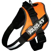 JULIUS K-9 Idc Power Hundegeschirr
