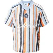 Adidas Originals T-Shirt ORIGINALS "ORIGINALS SUMMER GLOW OVERSIZE JERSEY, GEWIRKTES MATERIAL", Damen, Gr. L, ash blau, ash blau, Obermaterial: 99% Polyester, 1% Elasthan, V-Ausschnitt, Shirts T-Shirt