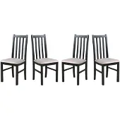 LeafDesign ESSZIMMERSTUHL - 4er-Set Bos 10 schwarz paros 2
