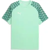 Puma teamLIGA26 Jersey Flock: - Größe: 152