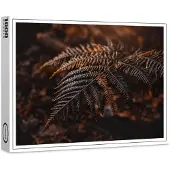 Raxxa Premium-Puzzle "Farn", 1000 Teile