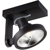 Zumaline Spotlight MASTER 111 SL ACGU10-181-N