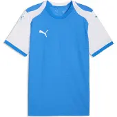 Puma Herren Trikot teamFINAL26 Knit Jersey 706651-02 L - Electro Royal-White - L