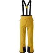 Dare 2b Dare2b Achieve II Pant gold flake (ZSW) XL Regular