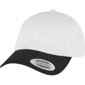 Flexfit Low Profile 2-Toned Classic Cap