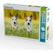 CALVENDO Parson Russell Terrier 1000 Teile Puzzle quer 640x480mm, Köntopp Kathrin; 7404300
