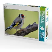 CALVENDO Stieglitz 1000 Teile Puzzle quer 640x480mm, Wilczek Dieter-M.; 7319061