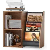 OEM Vinyl-Plattenspieler-Ständer mit braunem Holz und Vinyl-Lagerungssystem