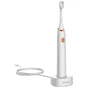 Concept ZK5000, Erwachsener, Schallzahnbürste, Tiefenreinigung, Polieren, Sensibel, Weich, Whitening, Weiß, 40000 Bewegungen pro Minute, Weiß