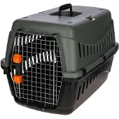 Kerbl Eco Haustiertransportbox Grün 58 x 38 x 38 cm Grün 58 x 38 x 38 cm