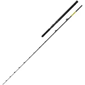 Shimano Fishing Beastmaster Cx Slim Bootsrute