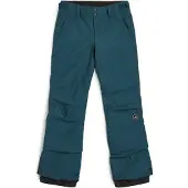 O'Neill Star Regular Hosen