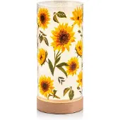 Formano LED Deko Licht Sonnenblumen Stimmungslicht Glaszylinder 20 cm Holzsockel
