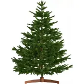 Jurhan Künstlicher Weihnachtsbaum FROST, 180 cm, grün
