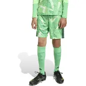 Adidas Torwartshorts für Kinder Competition Tiro 26