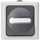 Kopp 560656006 BLUE ELECTRIC - Universalschalter (Aus-/Wechsel), Farbe: grau