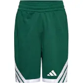 Adidas Everyday Pro Bball Shorts team dark green (AD8T) 116