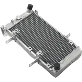 OEM Motor-Kühler, Hochleistungsfähig, Langlebiges Aluminium, DL1000 V-Storm 02-12