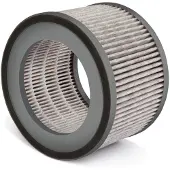 Soehnle Ersatzfilter Airfresh Clean 300