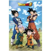 SD Toys Battle Of Gods Plakat