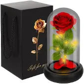 Ruhhy Rose im Glas - leuchtendes 25682