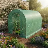 KONIFERA Foliengewächshaus "El Ejido" robust und wetterfest + Tür, Aufzucht Tomaten BxTxH: 196x296x200cm
