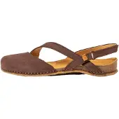 El naturalista Panglao Brown 40