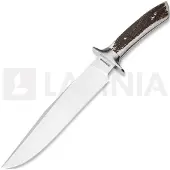 Böker Argentina Arbolito Toro HX 02BA595HX, Satin ACX 390, Stag Horn, Jagdmesser