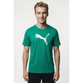 Puma Teamrise T-Shirt Herren - Grün